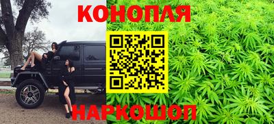 шишки Будённовск