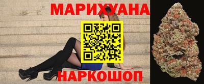 шишки Будённовск
