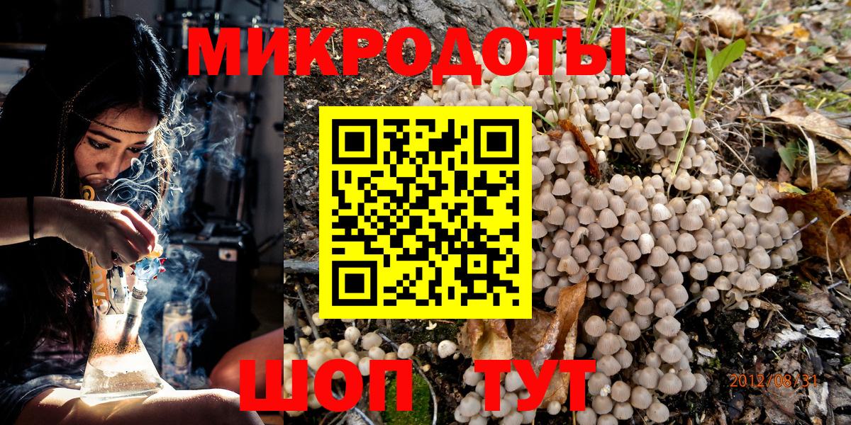 Псилоцибиновые грибы Cubensis Орёл